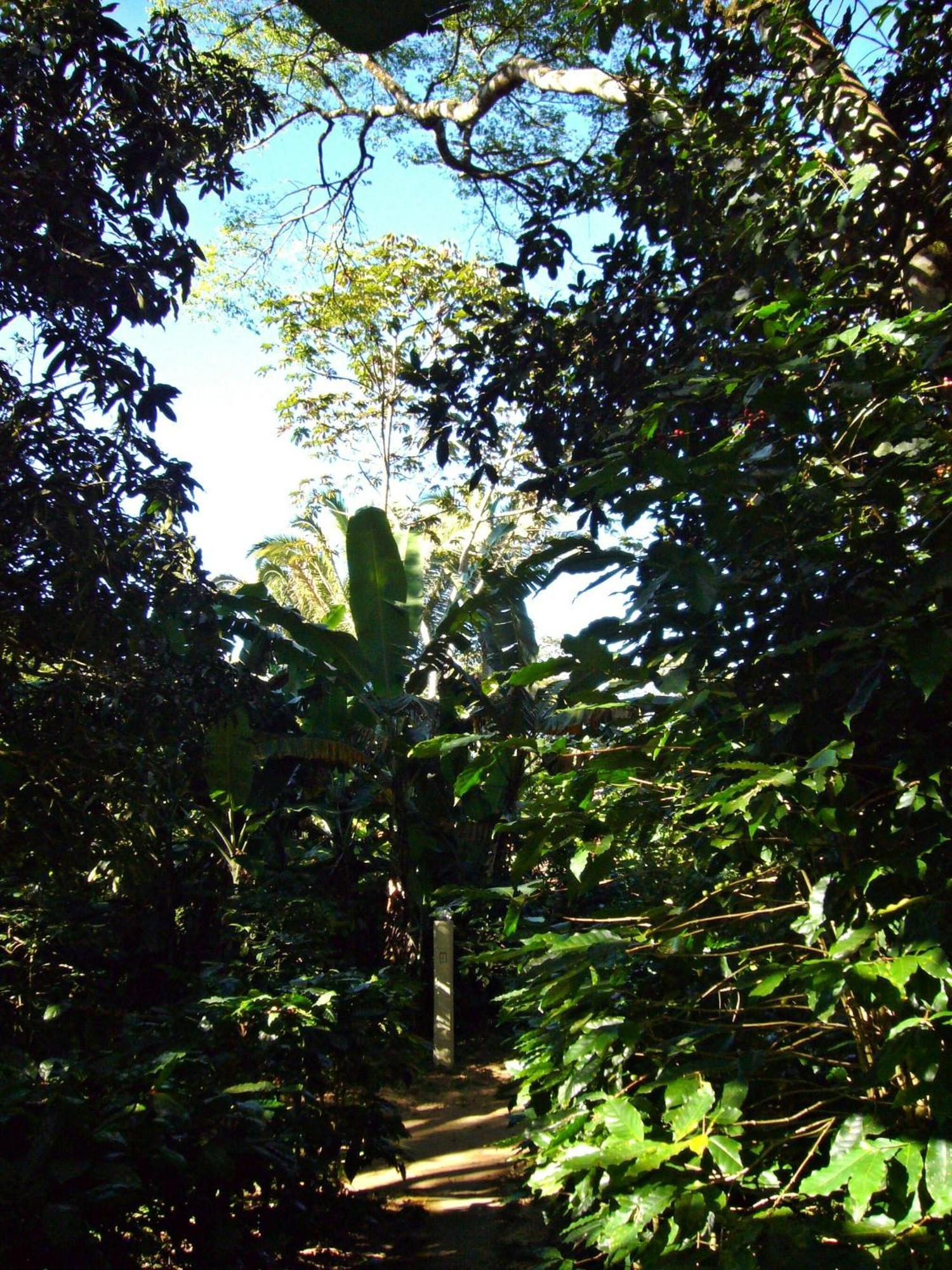 Pousada Sítio do Alemão Ubajara Exterior foto