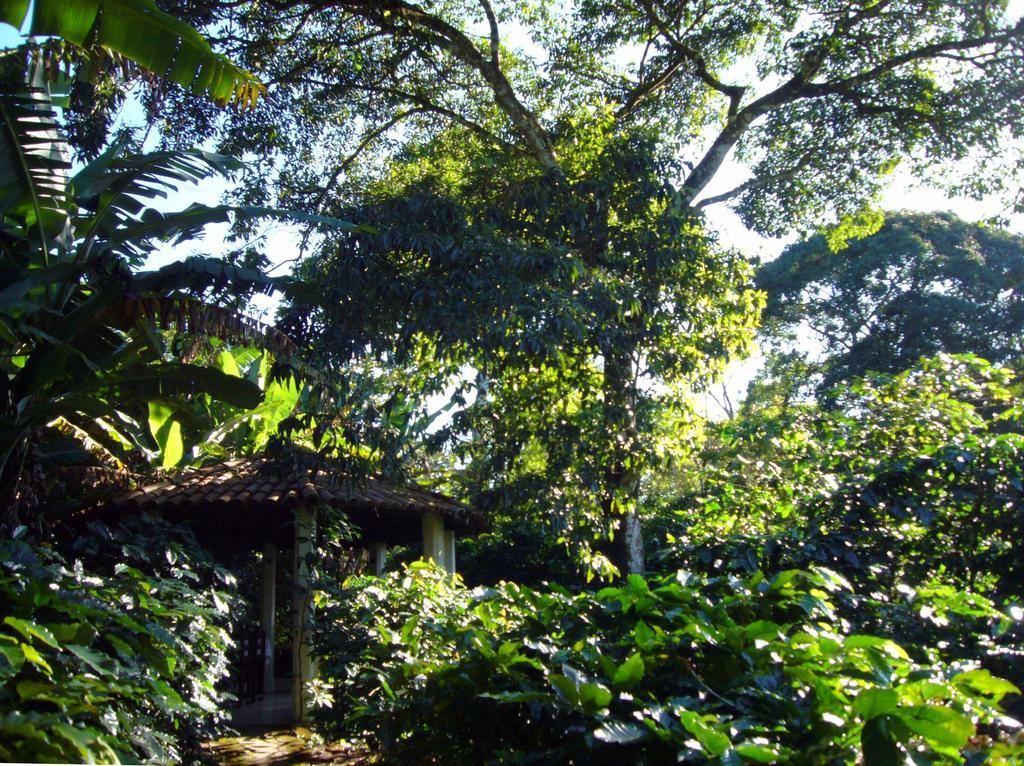 Pousada Sítio do Alemão Ubajara Exterior foto